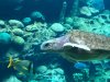 thumbnail_IMG_2673.jpg