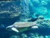thumbnail_IMG_2665.jpg