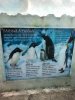 thumbnail_IMG_2697.jpg