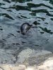 thumbnail_IMG_2754.jpg