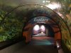 thumbnail_IMG_2724.jpg
