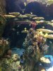 thumbnail_IMG_2727.jpg