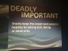 thumbnail_IMG_2741.jpg