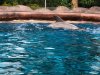 thumbnail_IMG_2756.jpg
