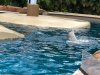 thumbnail_IMG_2758.jpg