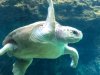 thumbnail_IMG_2667.jpg