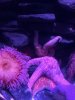 thumbnail_IMG_2660.jpg