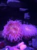 thumbnail_IMG_2661.jpg