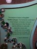 thumbnail_IMG_2659.jpg