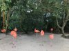 thumbnail_IMG_2653.jpg