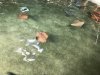 thumbnail_IMG_2746.jpg