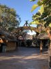 IMG_0105.jpeg