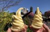 IMG_0157.jpeg