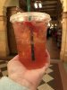 IMG_0137.jpeg