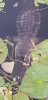 20180914_194049-980x2016.jpg