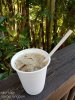 animal kingdom iced capp.jpg