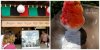 epcot kakigori.jpg