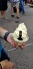 20180915_172606-980x2016.jpg