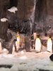 thumbnail_IMG_2682.jpg