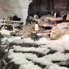 thumbnail_IMG_2693.jpg