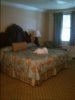 WP_003373.jpg