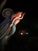 WP_003427.jpg