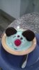 WP_20140407_017.jpg