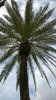 WP_20141008_026.jpg