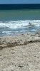 WP_20141009_015.jpg