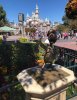 06F50551-7013-4EB6-BBDE-5F6AAF628035.jpeg