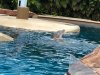thumbnail_IMG_2762.jpg