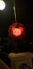 20180919_214156-980x2016.jpg