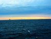 IMG_4749.JPG