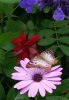 20180503_212232.jpg