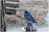 upload_2018-9-23_19-16-20.png