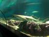 thumbnail_IMG_2737.jpg