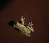 20180920_205128_crop_392x347.jpg