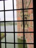IMG_4995.JPG