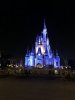 IMG_5224.jpeg