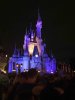 HEA View Night 1 (small).jpg