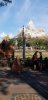 20180917_172853-980x2016.jpg
