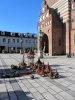 IMG_5049.JPG