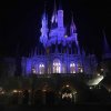 IMG_1732.jpg