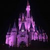 IMG_1737.jpg