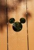 20180918_173107_crop_392x582.jpg