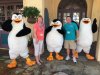 thumbnail_IMG_2826.jpg