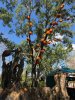 thumbnail_IMG_2836.jpg