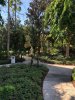 thumbnail_IMG_2798.jpg