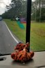 20180915_103109_crop_392x591.jpg