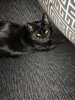 thumbnail_IMG_3234.jpg